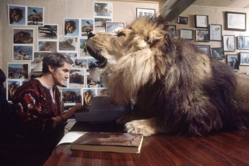 Increíbles fotos de los años ' 70: Melanie Griffith y león Neil