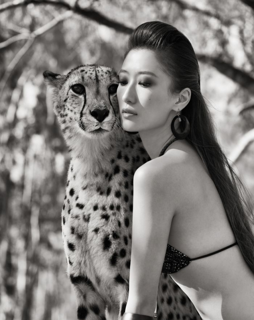 Increíbles retratos de los modelos de Asia y celebridades con animales salvajes