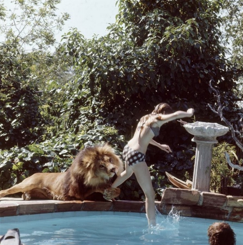 Incredible photos from the ' 70s: Melanie Griffith and lion Neil