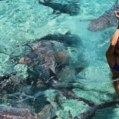 Instagram-la modelo subió en la piscina con los tiburones por el bien de los que le gusta y casi pierdo mi mano