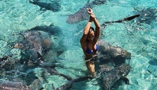 Instagram-la modelo subió en la piscina con los tiburones por el bien de los que le gusta y casi pierdo mi mano