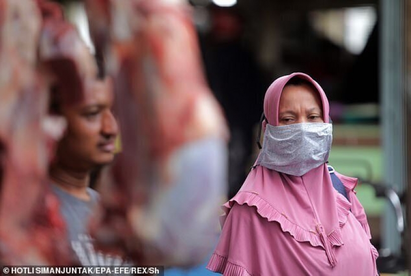 La carne de caza: en Indonesia han encontrado un mercado con murciélagos y ratas