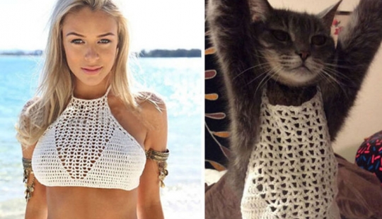 La gente que lamentar amargamente de compras en línea