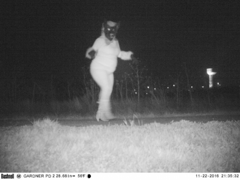 La policía encontró a la cámara de la visión nocturna para encontrar el Cougar, pero la situación se salió de control