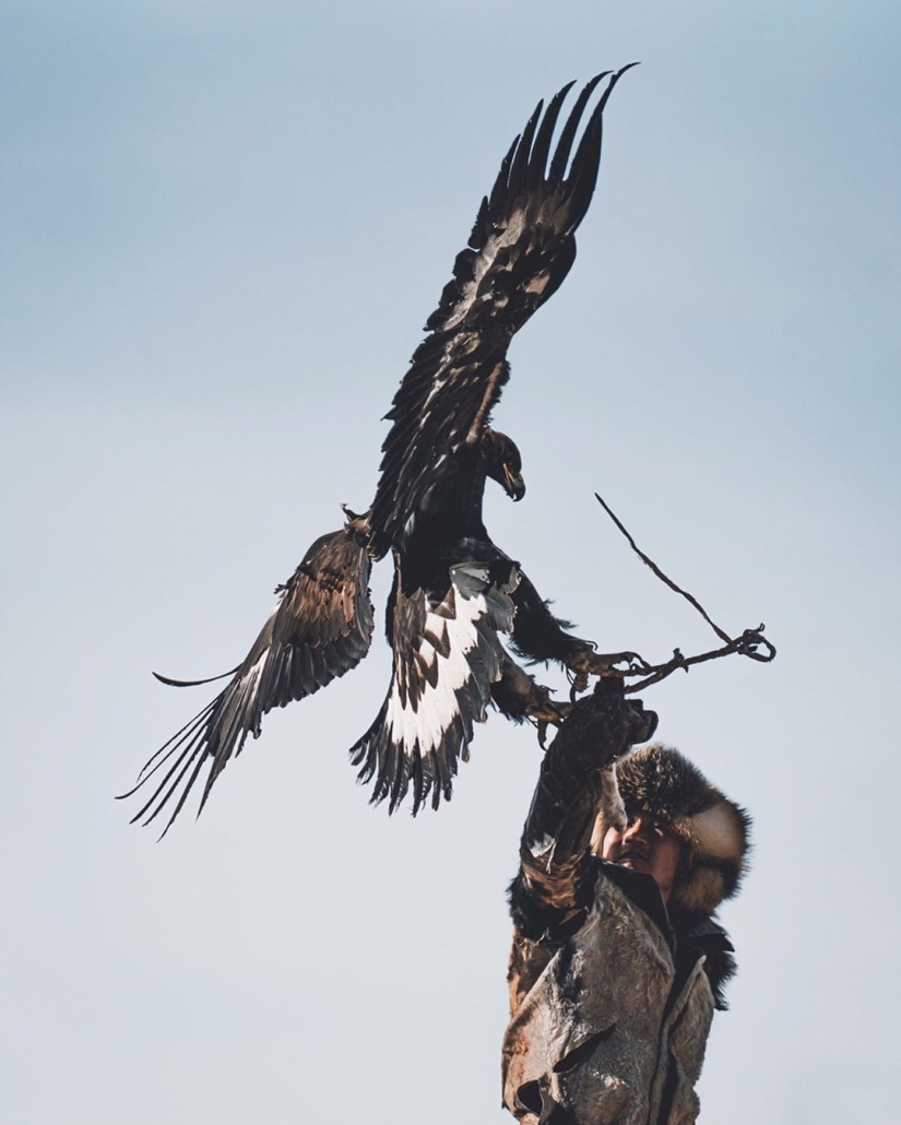La Unión del hombre y de los pájaros: 7 impresionantes fotos de la cetrería en Mongolia