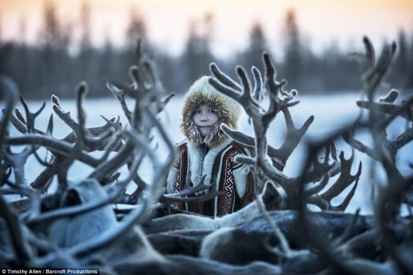 La vida en el congelador: la película fue estrenada en la BBC acerca de la migración de Nenets de los pastores de renos