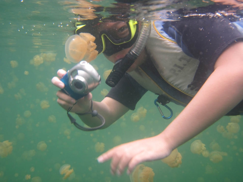 Lago de las medusas