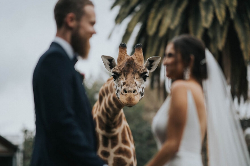 Las 15 mejores fotos de la boda de 2020 con la competencia Junebug Bodas