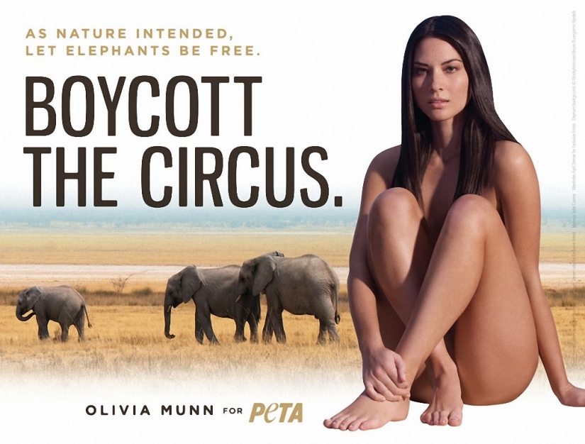 Las celebridades que se desnudó para la participación en antimirova campaña de PETA
