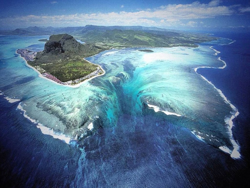 Las sorpresas de la naturaleza: estos realista fotos que desea mirar dos veces