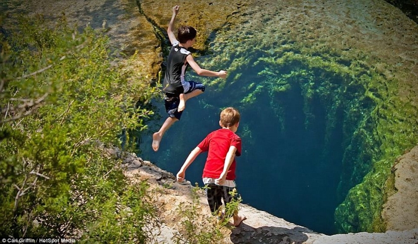 Las sorpresas de la naturaleza: estos realista fotos que desea mirar dos veces