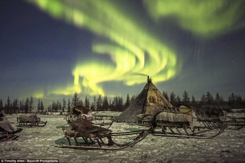 Life in the freezer: the film was released the BBC about migrating Nenets reindeer herders