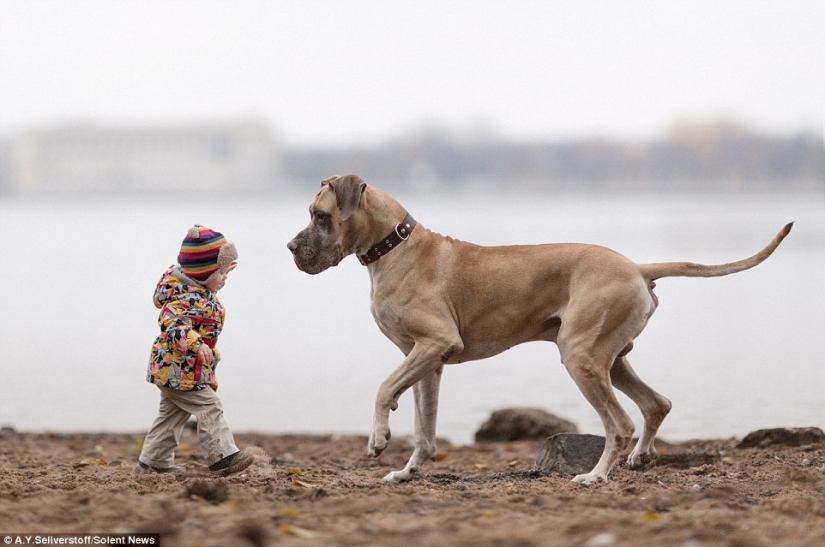 Little children of St. Petersburg and their huge four-legged friends