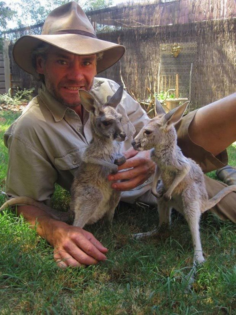 Little kangaroos left to die in the bag dead mother until he comes