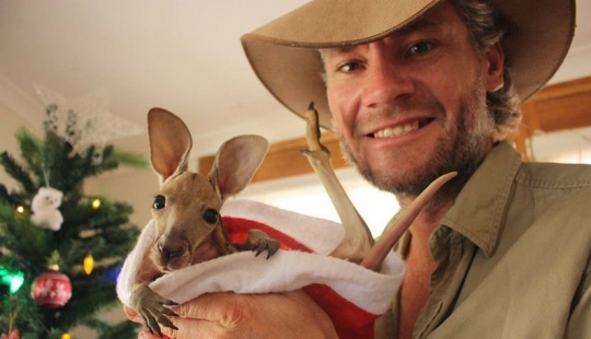 Little kangaroos left to die in the bag dead mother until he comes