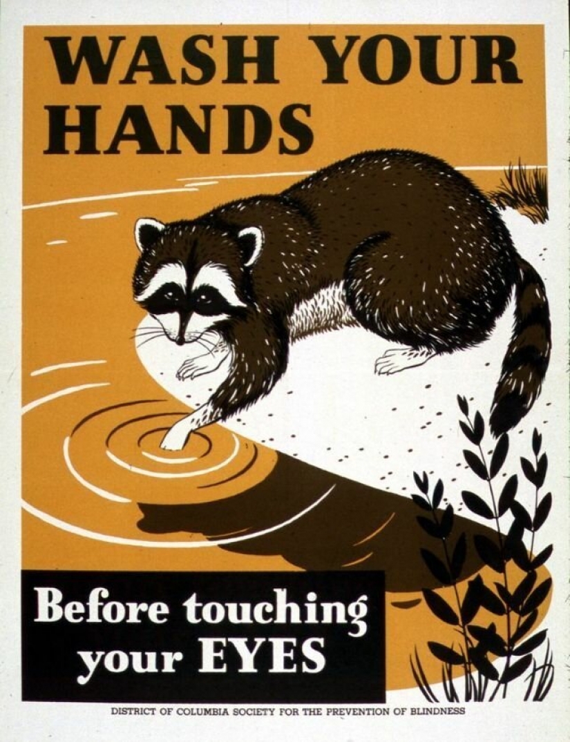 Looked like hygienic propaganda posters in different countries