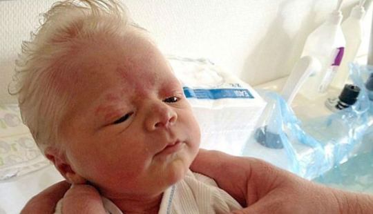 Los bebés se parecen a los hombres de edad