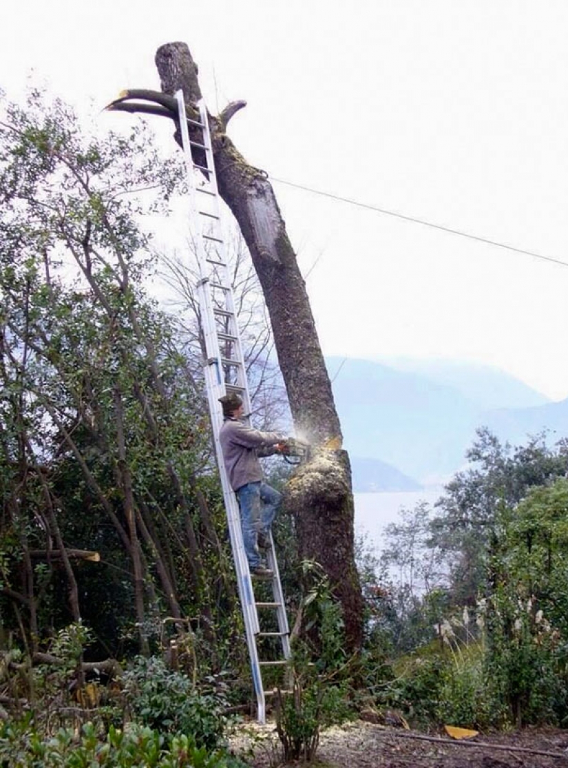 Los hombres de verdad nunca miedo