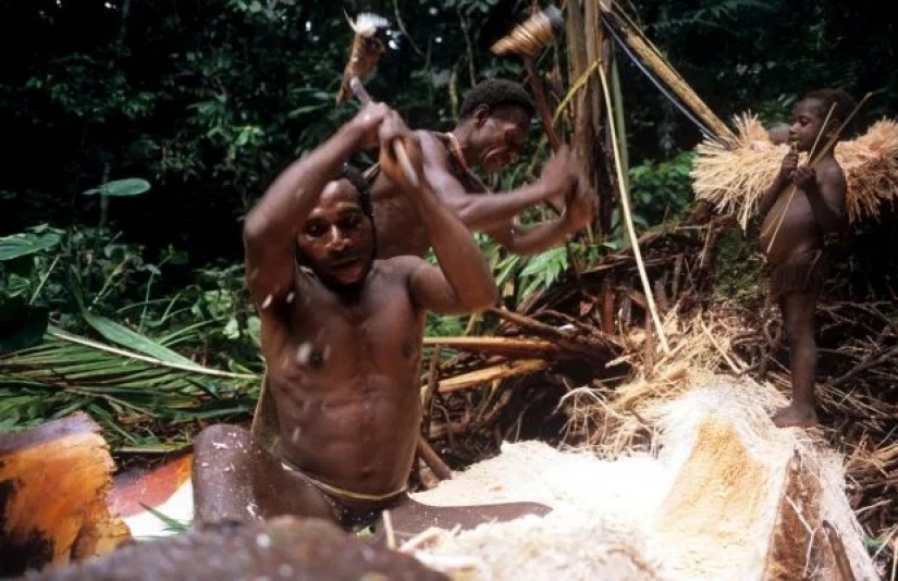 Los últimos caníbales: las tribus en las que se alimentan de carne humana y lleva a cabo los rituales de sangre