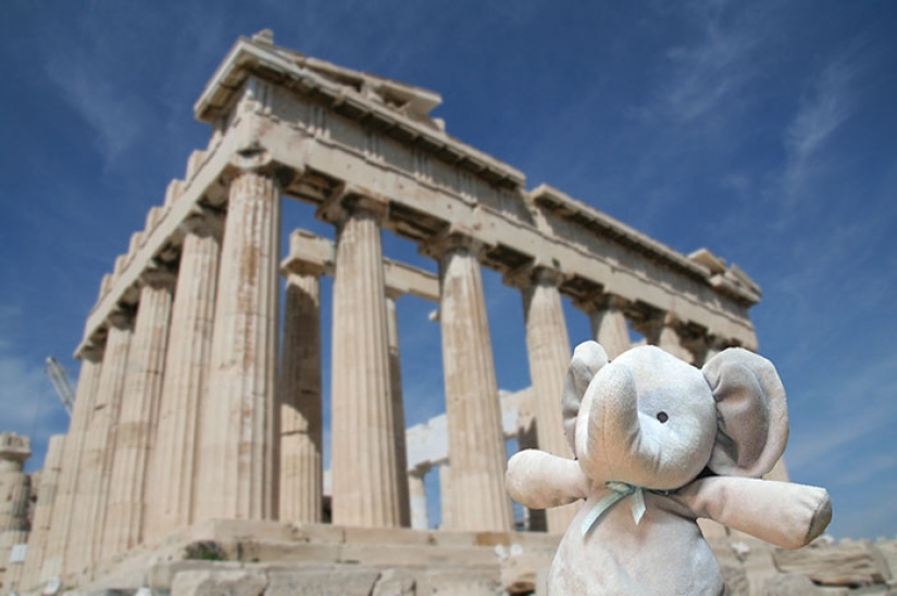 Lost Teddy elephant travels the world