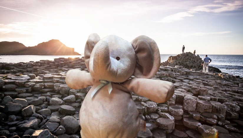 Lost Teddy elephant travels the world