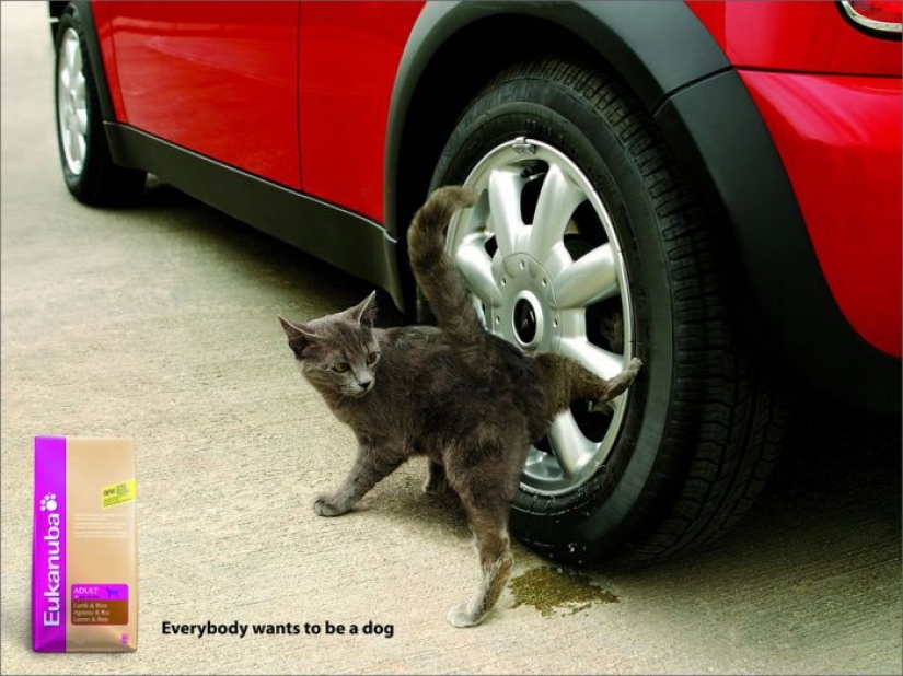 Meow! 15 ejemplos de divertido y lindo gato publicidad
