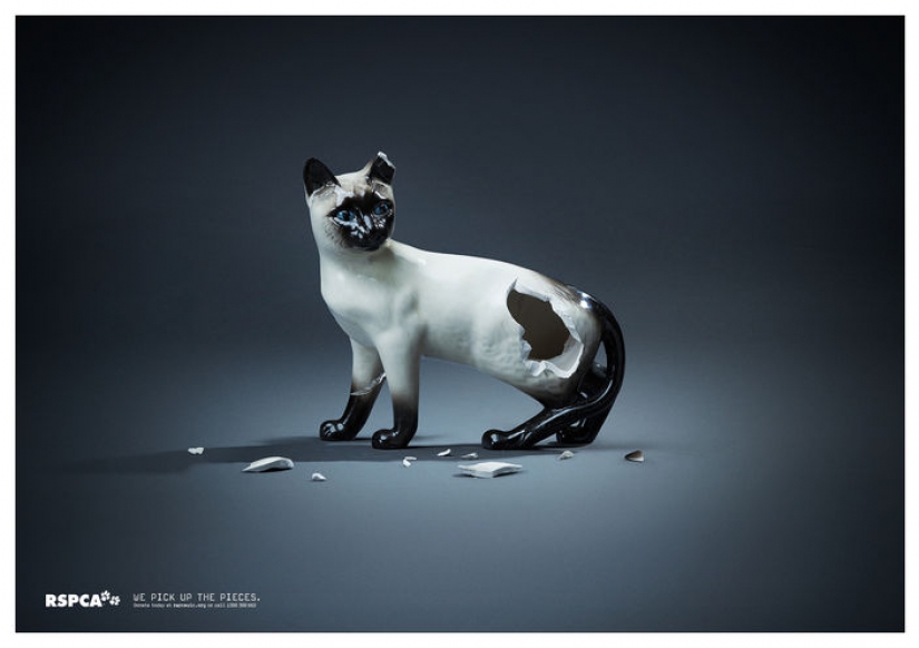 Meow! 15 examples of funny and cute cat advertising