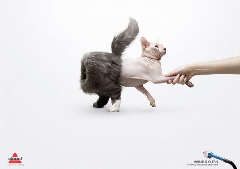 Meow! 15 examples of funny and cute cat advertising