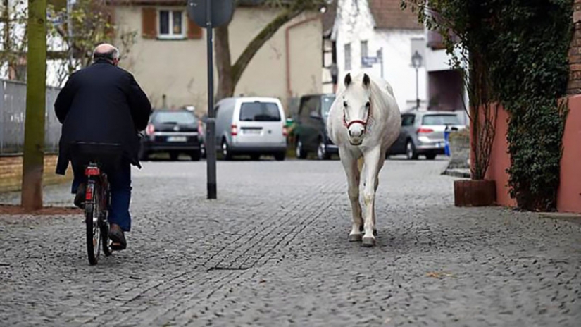 "Mi nombre es Jenny. No funciona, me pongo a caminar."