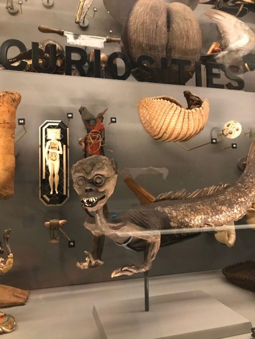 Mientras que los visitantes a la zona de cuarentena, los museos del mundo había un concurso en la más macabra exhibición