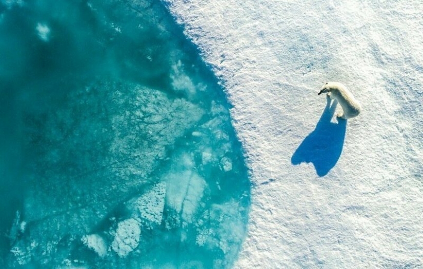 Miracles from heaven: the 12 best photos from the contest drone pictures