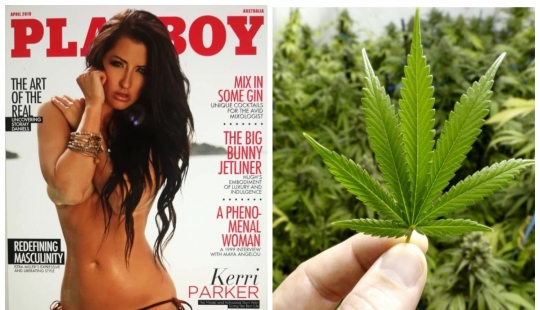 Modelo de Playboy, que permaneció sólo un año, había sido curado de cáncer gracias a la marihuana