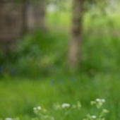 Moscú apartamentos Isabel II: ¿qué sabemos acerca de real estate