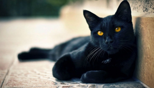 Most popular superstitions and their origins