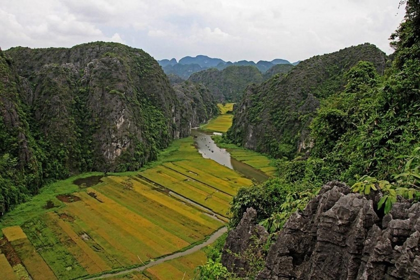 Mountains and rice fields of Tam COC