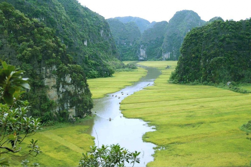 Mountains and rice fields of Tam COC