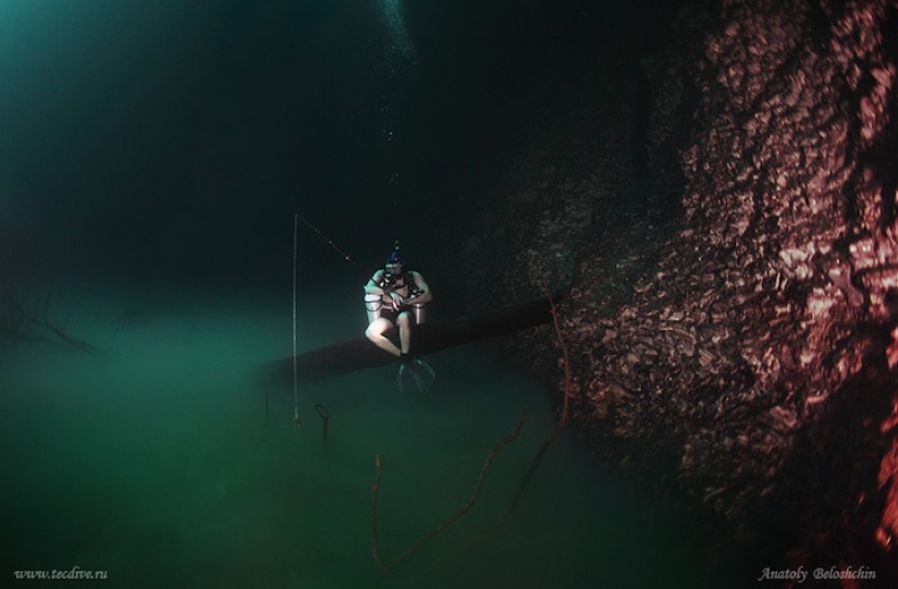 Mística submarino río fluye a lo largo del suelo marino en México