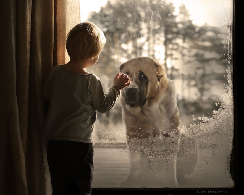 Mujer rusa crea impresionantes fotografías de sus hijos con los animales en el pueblo
