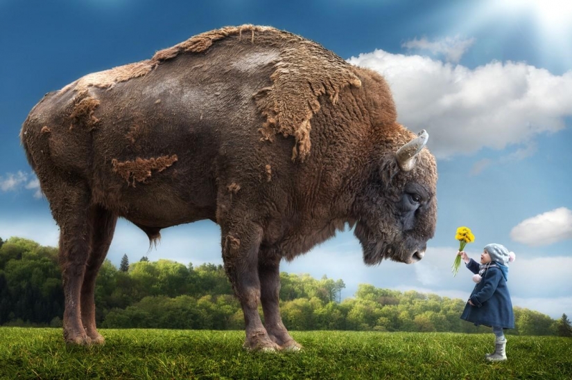 "My crazy daughters" — a project by John Wilhelm