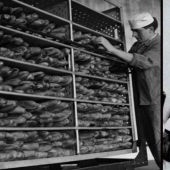 Mystery of the cursed bread: who is to blame, the CIA, Stalin or ergot?