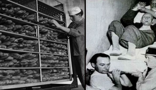 Mystery of the cursed bread: who is to blame, the CIA, Stalin or ergot?