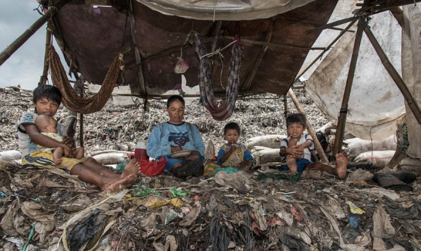 "Nasty world": as 3000 families with children live on a huge dump