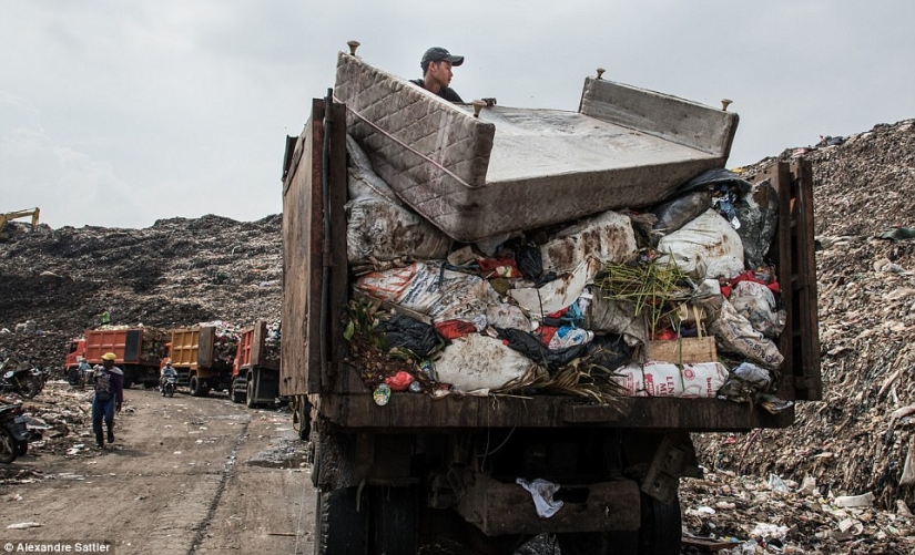 "Nasty world": as 3000 families with children live on a huge dump