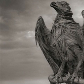 Natural phenomenon of lake Natron.