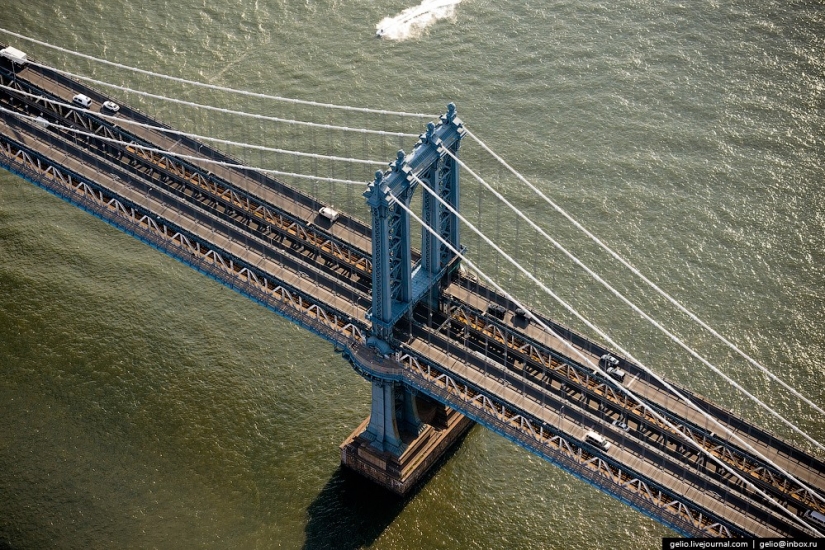 New York from the height of bird flight