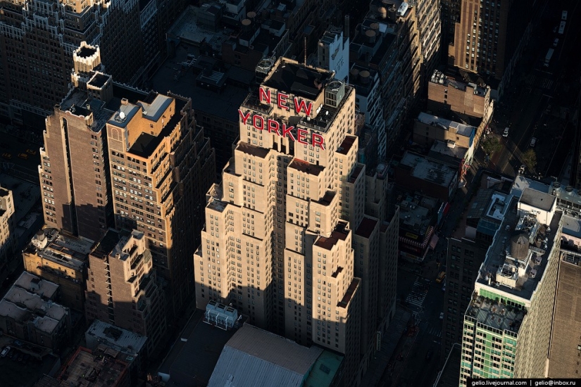 New York from the height of bird flight