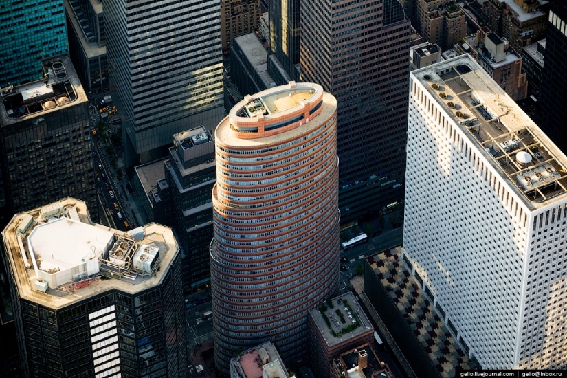 New York from the height of bird flight