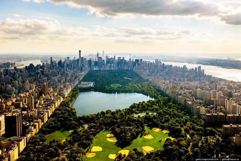 New York from the height of bird flight