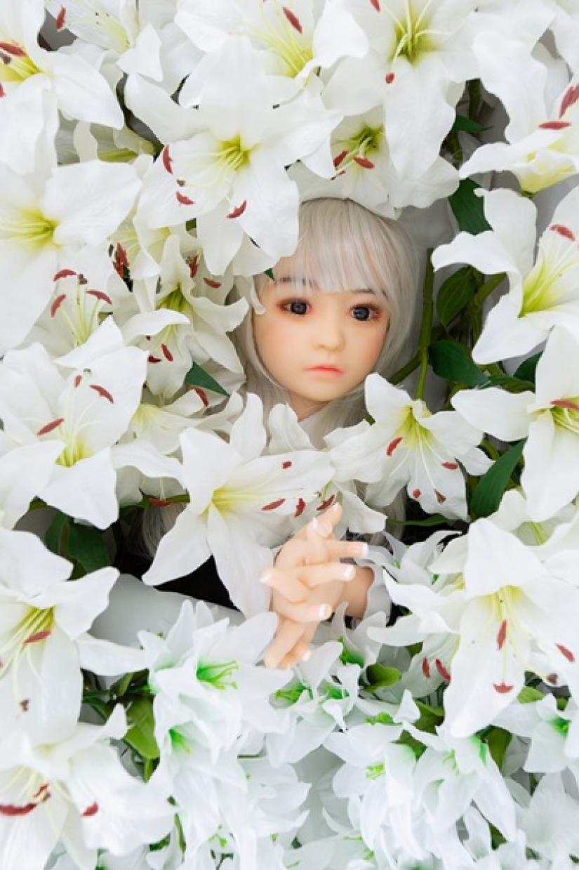 No tire las personas muñecos: en Japón usted puede ordenar el funeral de juguetes sexuales