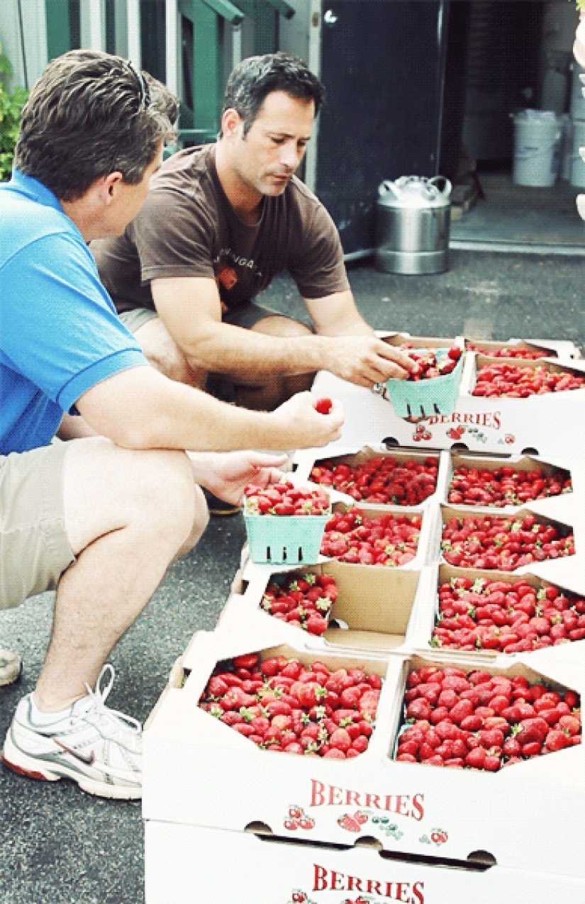 Oh what a miracle — strawberry beer!